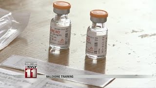 Naloxone Training [upl. by Gnek]