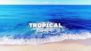 Serj lazar  Tropical [upl. by Aztinay209]