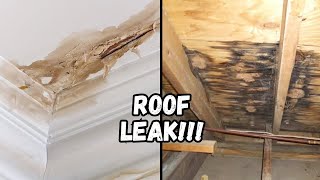 What Does A Roof Leak Look Like [upl. by Reisinger850]