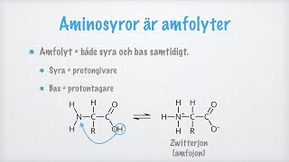 Aminosyror [upl. by Kcirde]