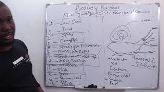 NECO 2023 Biology practical  SPECIMEN A B AND C  unedited video [upl. by Elicul]