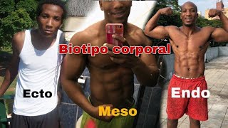 Descubra QUAL SEU BIOTIPO CORPORAL hectomorfo mesomorfo ou endomorfo [upl. by Esilenna]