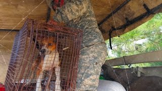 North Carolina National Guard Hurricane Matthew Rescue and Relief Operations [upl. by Friedly]