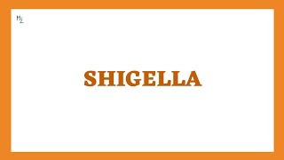 Shigella Dysenteriae Shigellosis Morphology Pathogenesis Clinical Findings Diagnosis Treatment [upl. by Lebbie985]