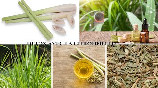 La Citronnelle  Le Detoxifiant Idéal Pour La Peau Et Les Organes [upl. by Enirhtac702]