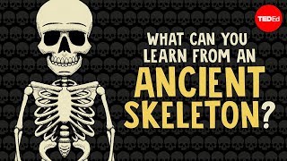 What can you learn from ancient skeletons  Farnaz Khatibi [upl. by Adnarem]