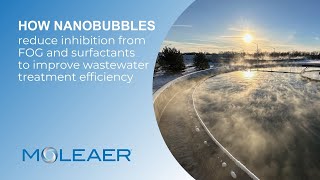 Nanobubbles Remarkable Power in Inactivating Inhibitory Compounds in Wastewater Treatment [upl. by Aubreir]