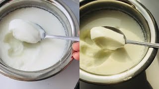 CurdYoghurt Perfect Recipe കട്ട തൈര് ഉണ്ടാക്കാം  Tips amp Tricks Hi Kitchen recipes in Malayalam [upl. by Eelynnhoj878]