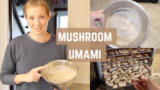 Dehydrated Mushroom Powder  Umami Mushroom Powder [upl. by Medwin66]