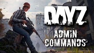 How to Use DayZ Admin Commands Nitrado Guides [upl. by Moina]