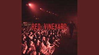 Red Vineyard [upl. by Peggir]