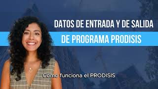 Cómo funciona el programa PRODISIS [upl. by Lahsram]