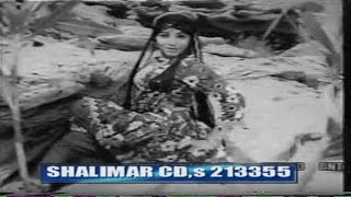 New Pashto Classic Song  Topak Zama Qanoon  Har Kala Cha Rashi Da Mi  Pashto Song With Dance [upl. by Nonohcle]