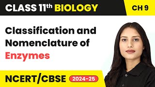 Classification and Nomenclature of Enzymes  Biomolecules  Class 11 Biology Chapter 9 CBSE 202425 [upl. by Ghassan]