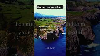 🤯🔄Stress increases the production of cortisol 💆‍♂️ [upl. by Nylra]