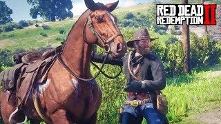 Red Dead Redemption 2  8  Chelonia [upl. by Acceber609]