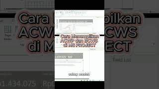 Cara Menampilkan ACWP dan BCWS di MS Project ACWP BCWS KurvaS MicrosoftProject excavator [upl. by Aicrag793]