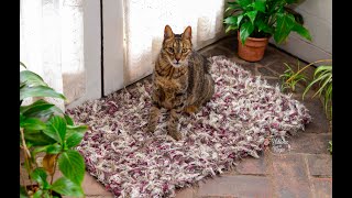 Alfombra con bochón totora  Paso a paso en crochet [upl. by Eldnar571]