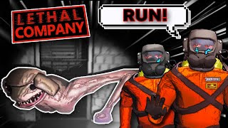 Funniest horror game in a nutshell [upl. by Bulley]