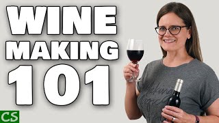 Wine Making 101  Beginner Basics for Wine Making at Home [upl. by Aivekal]