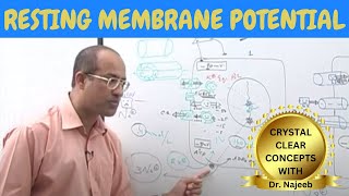 Resting Membrane Potential  Neurology  Dr Najeeb [upl. by Ober191]