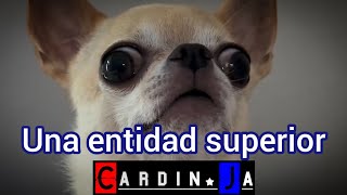 Una entidad superior CARDINJA [upl. by Melamed]