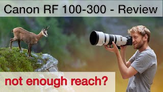 Canon RF 100300mm f28  Useful for Wildlife Photography Review [upl. by Rox356]