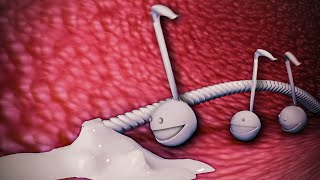 This is my Otamatone [upl. by Cameron]