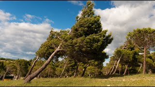 Insane windstorm in the Netherlands  Storm Eunice in NL [upl. by Airdnua]