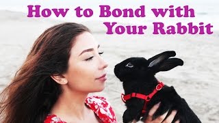 How to Bond with Your Rabbit [upl. by Rysler]