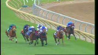 1999 E P Taylor Stakes [upl. by Haleelahk]