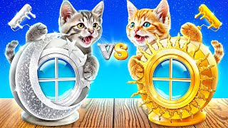 How to Make a Secret Room for Kittens Gold Cat vs Silver Cat [upl. by Aserat]