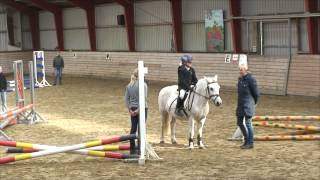 Reiten und Ferien auf der Reitanlage Tannenhof  Dänemark [upl. by Einnaffit792]