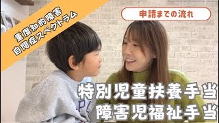 【特別児童扶養手当】療育手帳B2の軽度知的障害でも受給できました！【障害児福祉手当】申請時の状況と流れ [upl. by Giff898]