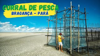 Curral de Pesca  Bragança  Pará [upl. by Adnerol]