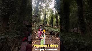 coffee plantation araku valley  araku wooden bridge [upl. by Nnylodnewg]