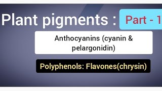 Plant pigments part  1 [upl. by Nonnerb]