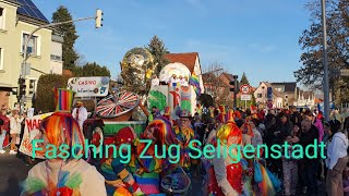 Fashingzug Seligenstadt  Carnival [upl. by Domella848]