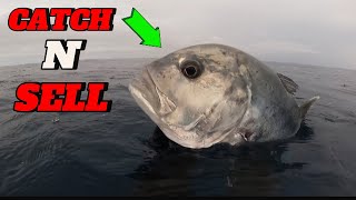 CATCH N SELL  SPEARFISHING PHILIPPINES  GIANT TREVALLY  BANTON ROMBLON 😱 [upl. by Dinin]