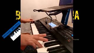 Sucessos Marcantes  Brega Paraense Solos Roland GW8  GTR LOOP [upl. by Phyllys]