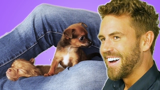 Nick Viall From “The Bachelorquot Plays With Puppies While Answering Fan Questions [upl. by Akirderf]