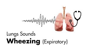 Wheezing expiratory  Lung Sounds  MEDZCOOL [upl. by Arotak141]