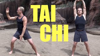 10 Minute Tai Chi Lesson  Amazing [upl. by Kalina]