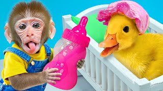 KiKi Monkey pretend best brother Take Care of Cute Duck by Biggest Milk Bottle  KUDO ANIMAL KIKI [upl. by Lovash367]