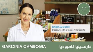 🎃 GARCINIA CAMBOGIA 🇮🇳  Le ROI du Régime Efficace avec Dr Nadia Aiouch 👩‍⚕️ [upl. by Alaham]