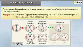 Chromosomal Disorders I  Principles of Inheritance and Variation  Biology  Class 12th iPrep [upl. by Spooner457]