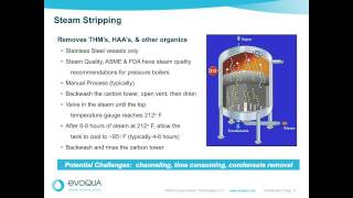 Evoqua Presents Granular Activated Carbon – Sanitization and Steam Stripping Webina [upl. by Enelrae79]