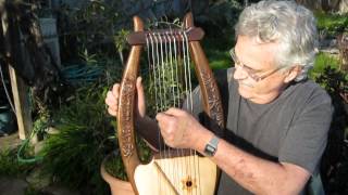 Custom King David 10 string Lyre [upl. by Massarelli]