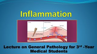 Pathology Inflammation 2 Part 1 [upl. by Anetsirhc]