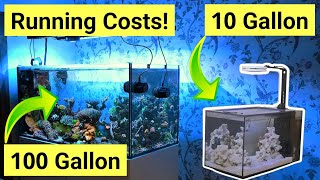 Saltwater Tank Running Costs FULL Breakdown [upl. by Burwell]